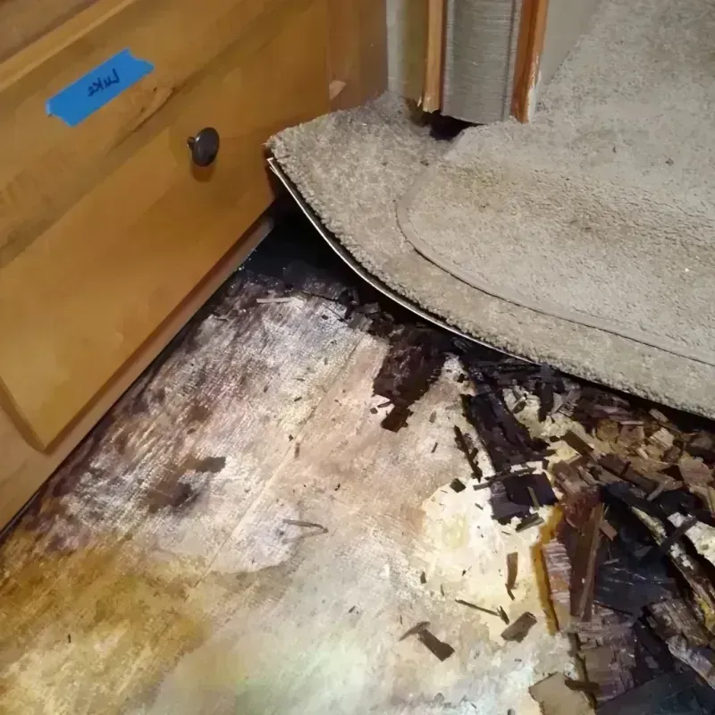 Wood Floor Water Damage in Boone County, IL